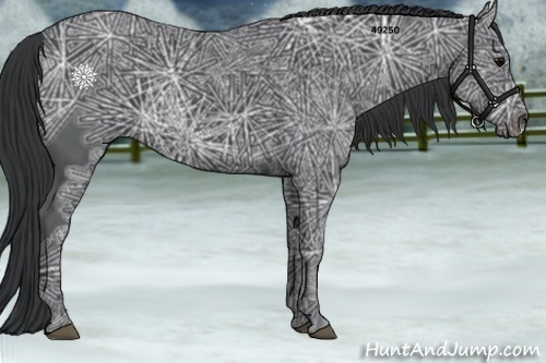 Horse Color:Black Ice 