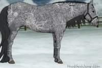 Horse Color:Black Ice 