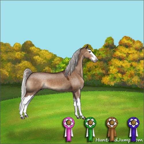 Horse Color:Silver Brown Dun Splash 