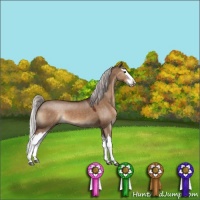 Horse Color:Silver Brown Dun Splash 