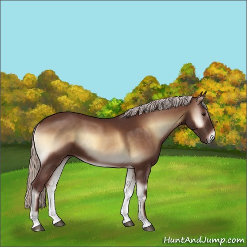 Horse Color:Chocolate Silver Brown Onyx