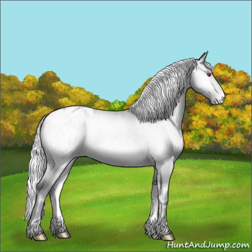 Horse Color:Silver Sable Champagne Chinchilla Onyx Appaloosa Rabicano Brindle 