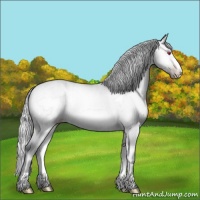 Horse Color:Silver Sable Champagne Chinchilla Onyx Frame Rabicano