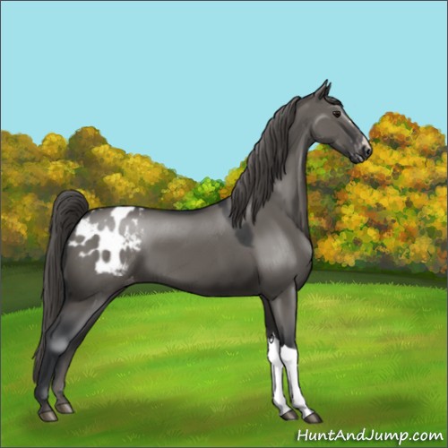 Horse Color:Grullo Mushroom Blanket 