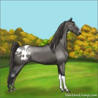 Horse Color:Grullo Mushroom Blanket 
