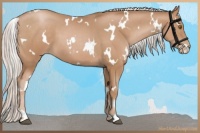 Horse Color:White Spotted Silver Black Pearl 