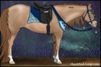 Horse Color:Liver Chestnut Pearl 