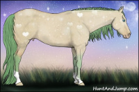 Horse Color:Gray Watercolor Perlino Dun 