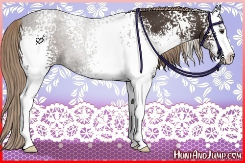 Horse Color:White Spotted Liver Chestnut Sabino