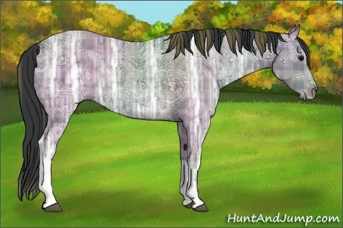 Horse Color:Plaid Black Ice