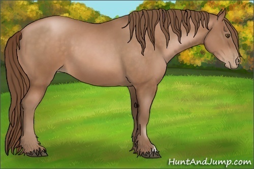 Horse Color:Brown Pearl 