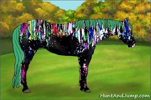 Horse Color:Watercolor White Spotted Bay Ice Rabicano