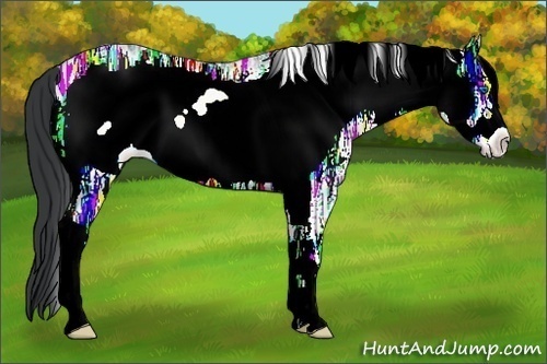 Horse Color:White Spotted Blue Onyx Ice Frame Rabicano