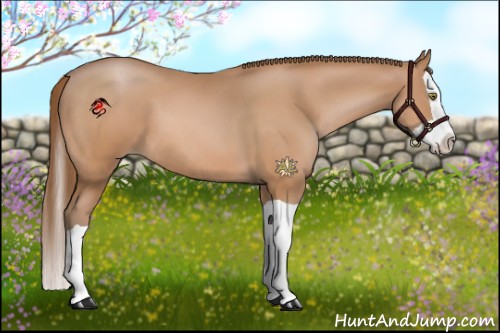 Horse Color:Brown Pearl Splash
