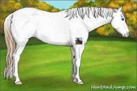 Horse Color:Bay Ice Pearl Splash Tobiano