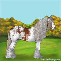Horse Color:Gray White Spotted Silver Bay Sabino 