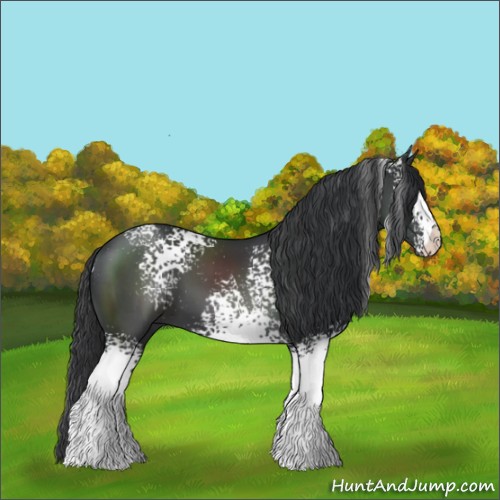 Horse Color:White Spotted Black 