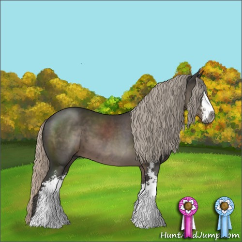 Horse Color:Gray Silver Black Sabino 