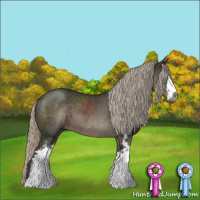 Horse Color:Gray Silver Black Sabino 