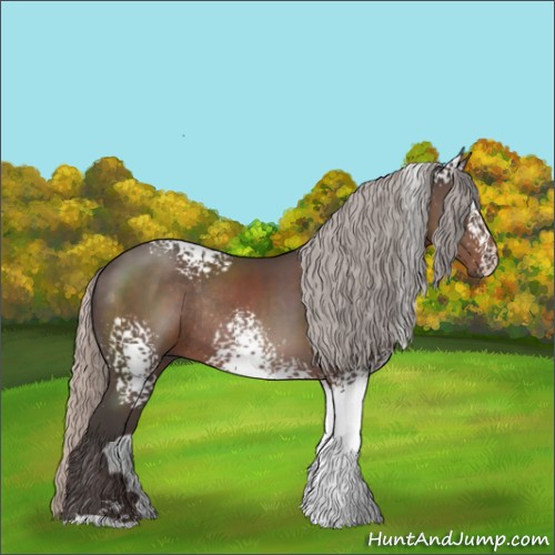 Horse Color:White Spotted Silver Black Sabino Rabicano 