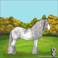 Horse Color:White Spotted Silver Black Sabino 