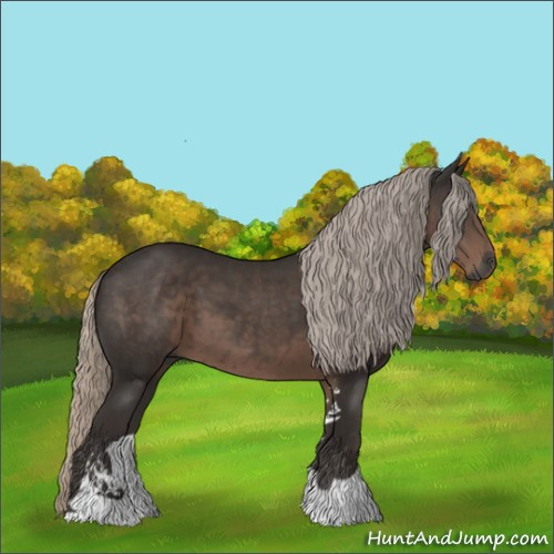 Horse Color:Gray Silver Black Sabino 