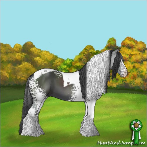 Horse Color:White Spotted Black Tobiano 
