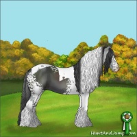 Horse Color:White Spotted Black Tobiano