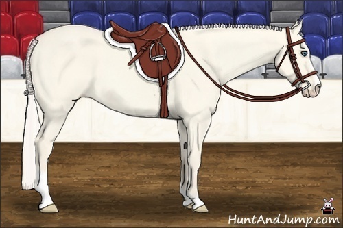 Horse Color:Cremello Dun Sabino