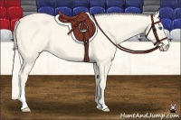 Horse Color:Cremello Dun Sabino
