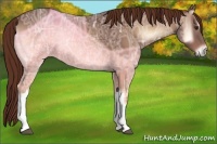 Horse Color:Red Onyx Ice