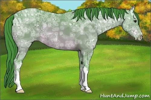 Horse Color:Watercolor Brown Ice 