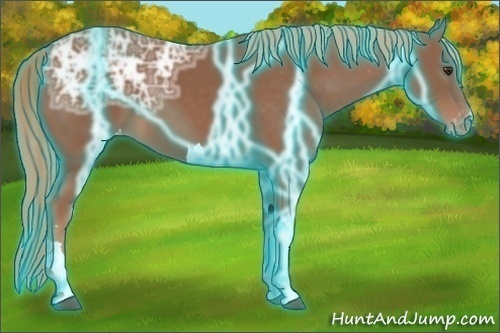 Horse Color:Thunderstruck Chestnut Ice Appaloosa 