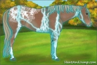 Horse Color:Thunderstruck Chestnut Ice Appaloosa