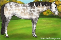 Horse Color:Smoky Blue Onyx Ice Sabino