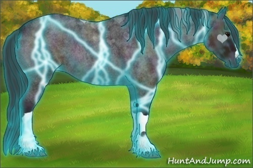 Horse Color:Thunderstruck Midnight Brown Ice Roan Onyx 