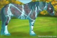 Horse Color:Thunderstruck Midnight Brown Ice Roan Onyx