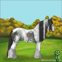 Horse Color:White Spotted Classic Champagne Tobiano 