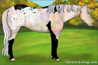 Horse Color:Nacre Silver Classic Champagne Ice Pearl Tobiano 