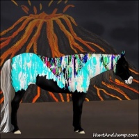 Horse Color:Plaid Bay Ice Roan Splash Rabicano