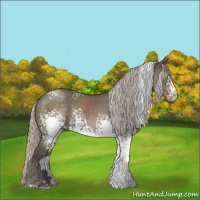 Horse Color:White Spotted Silver Black Sabino