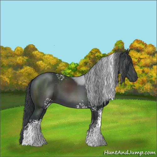 Horse Color:White Spotted Black 