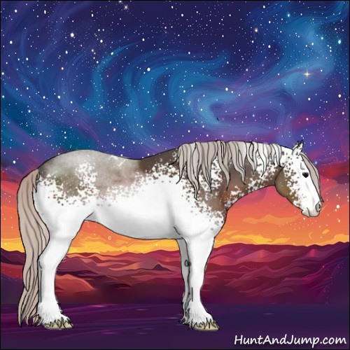 Horse Color:White Spotted Silver Black Sabino 