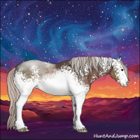 Horse Color:White Spotted Silver Black Sabino