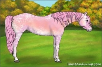 Horse Color:Watercolor Blue Onyx Ice Roan 