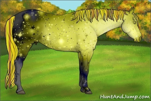 Horse Color:ERROR: UNKNOWN ANOMALY