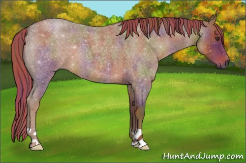 Horse Color:Gray Painted Nacre Red Roan