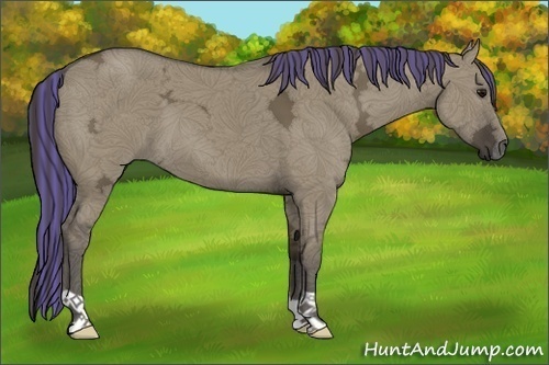 Horse Color:Painted Smoky Grullo Ice