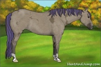 Horse Color:Painted Smoky Grullo Ice