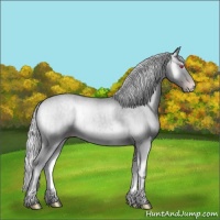 Horse Color:Silver Classic Champagne Chinchilla Onyx Sabino Brindle 